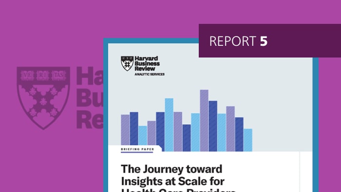 Report 5: The Journey toward Insights at Scale for Health Care Providers