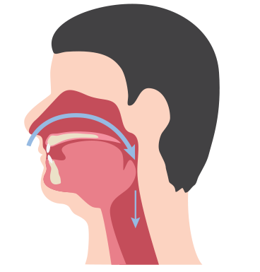 Non obstructed and obstructed airways