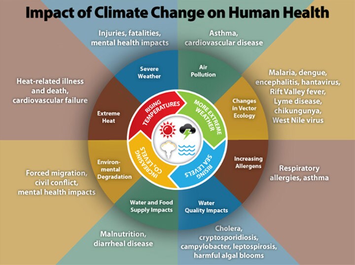 Impact of climate change on human healthcare